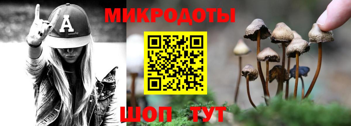 Жигулёвск  Галлюциногенные грибы мухоморы  Вход с VPN  Псилоцибиновые грибы мухоморы 